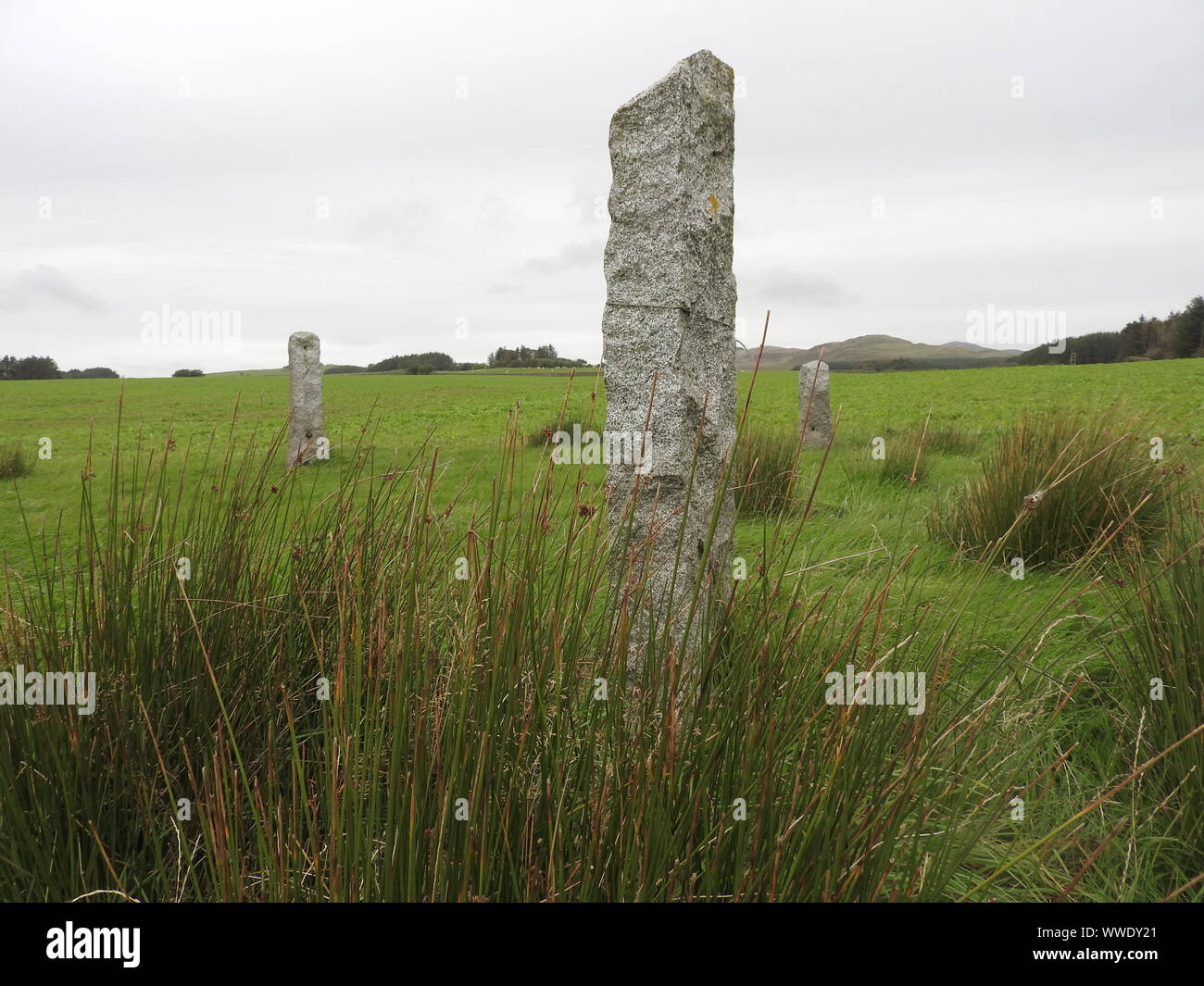 2019 immagine - pietre permanente nel Festival Wickerman campo vicino il gigante wickerman figura sulla strada Dundrennan, Dumfries and Galloway Foto Stock