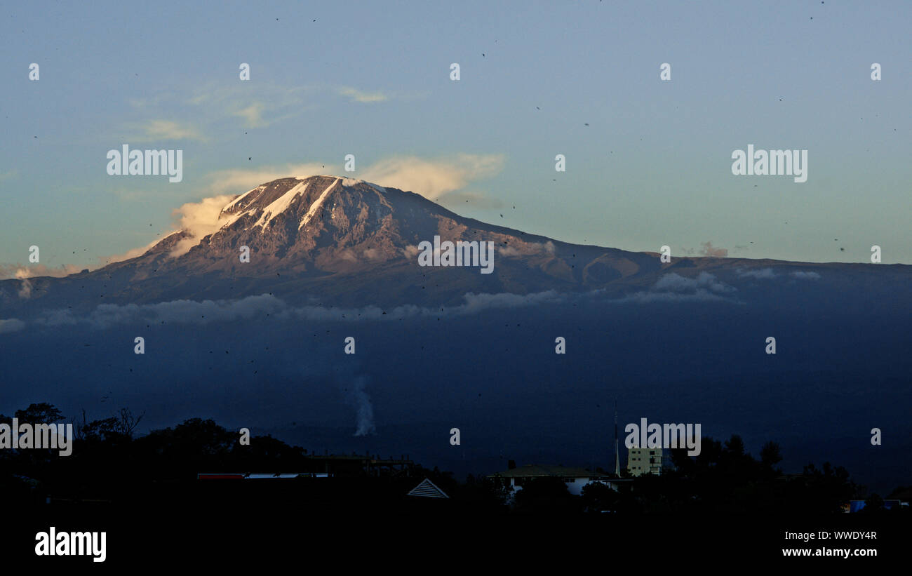 Il Monte Kilimanjaro da Moschi, Tanzania Foto Stock