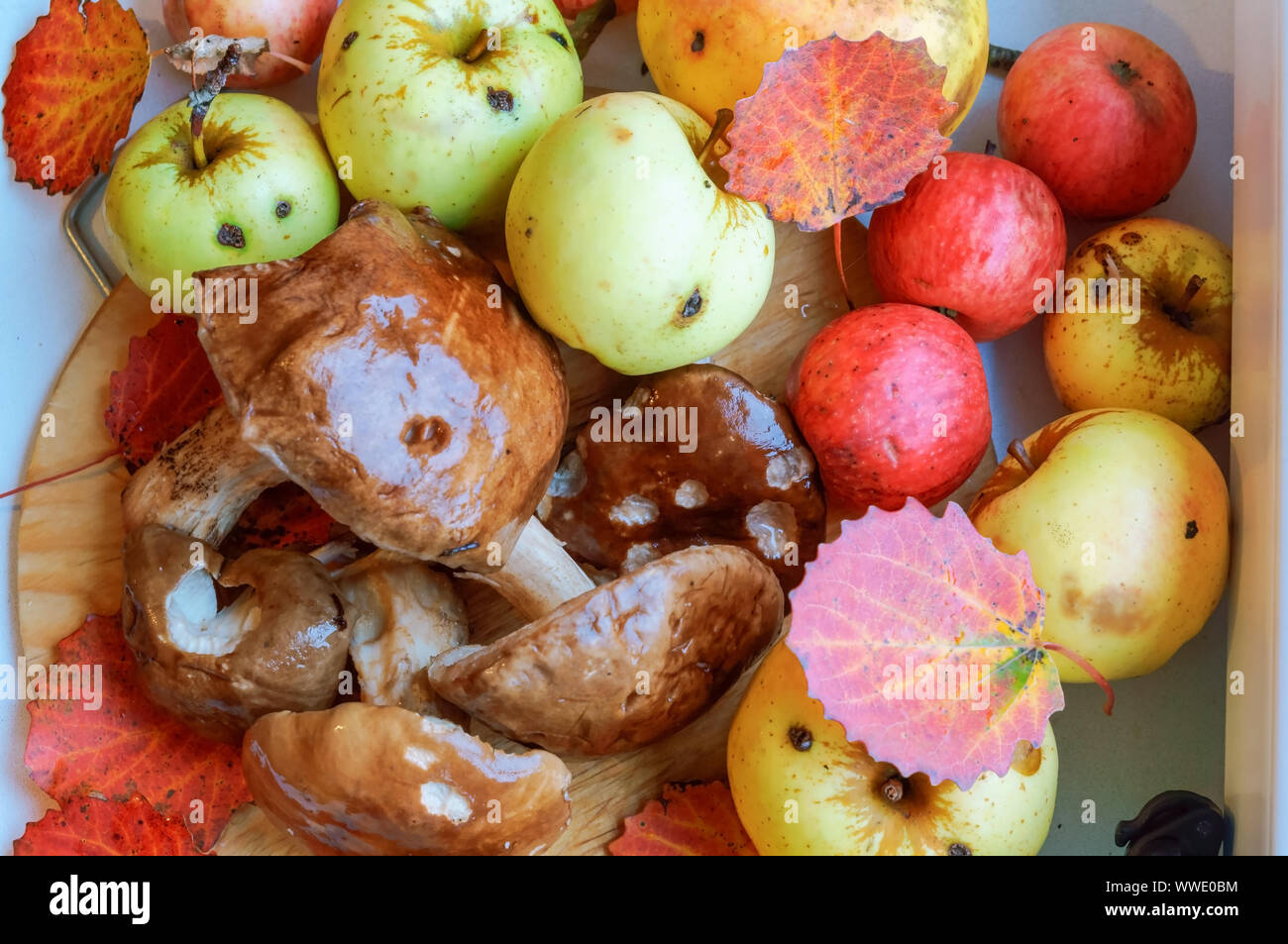 In autunno le mele e funghi, autunno doni della natura Foto Stock