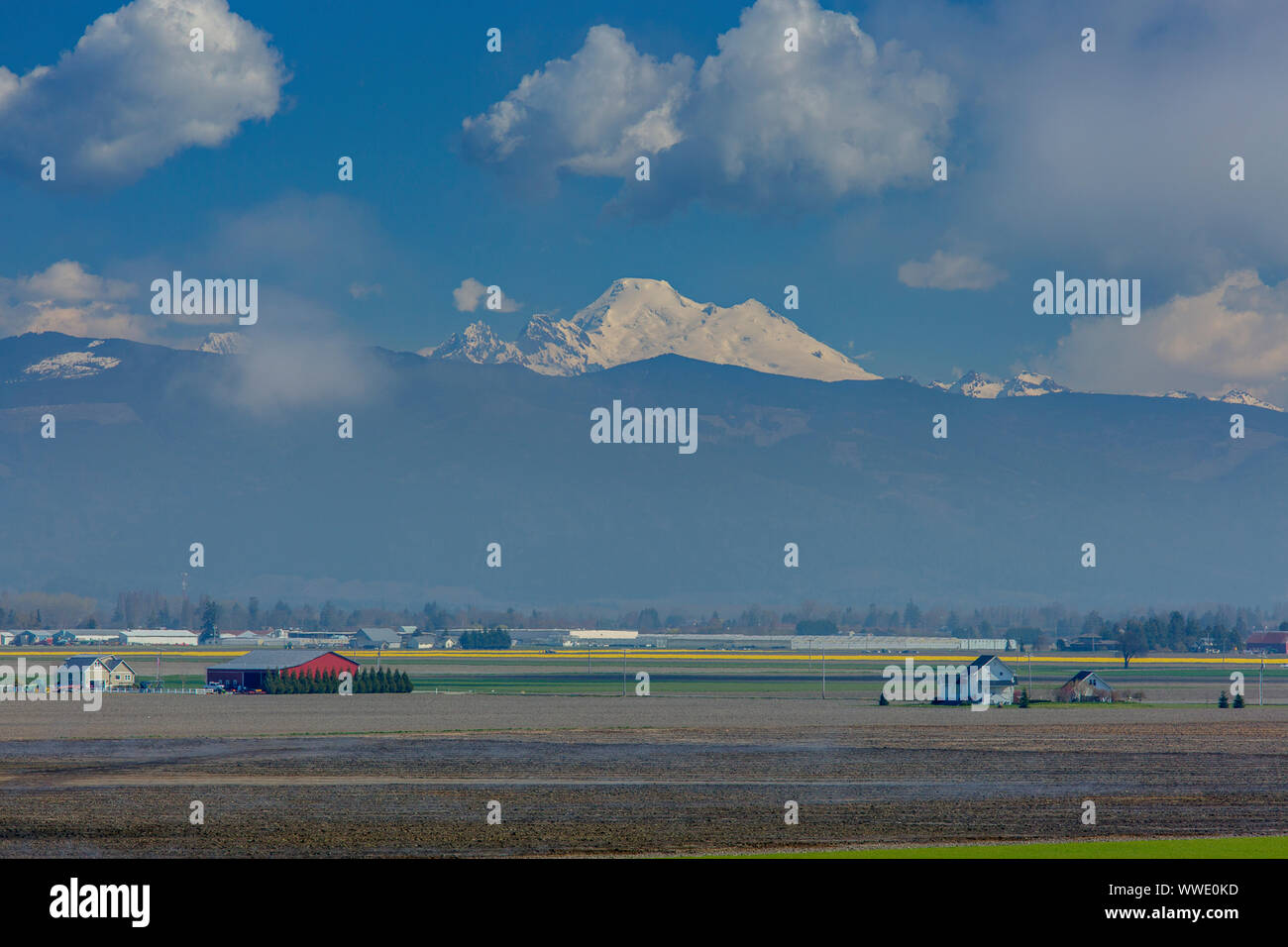 Mt Baker, Skagit County, Wa Foto Stock