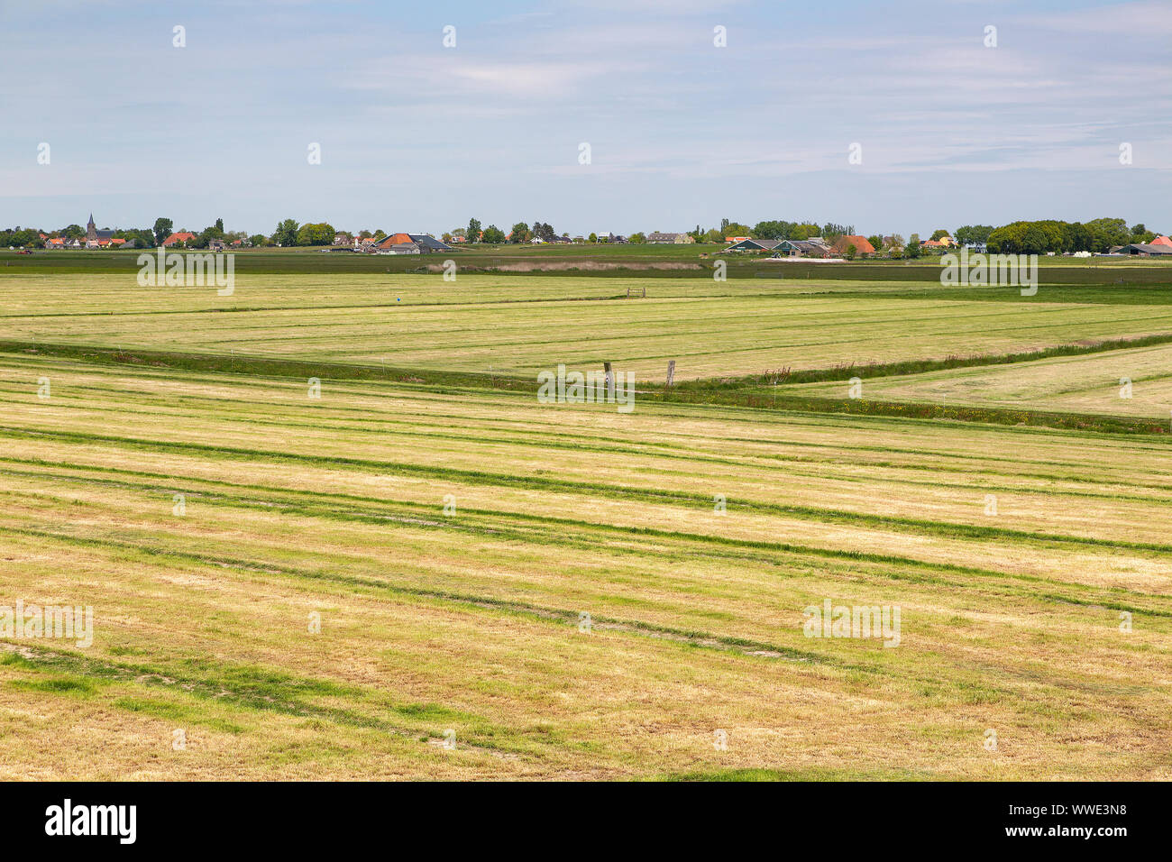Tipico paesaggio rurale della parte sud-occidentale della provincia olandese Friesland Foto Stock