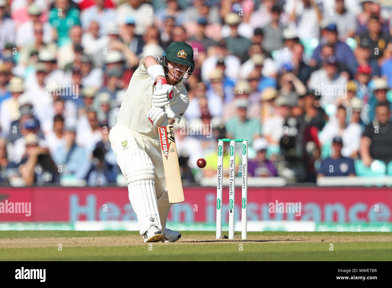 Londra, Inghilterra. 15 SETTEMBRE 2019: David Warner di ovatta in Australia durante il giorno quattro del quinto Specsavers Ceneri Test Match, alla Kia Oval Cricket Ground, London, England. Foto Stock