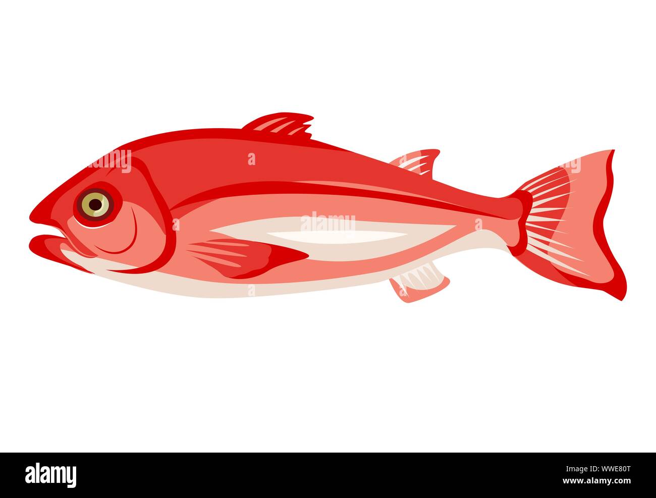 Materie northern red snapper icona isolati su sfondo bianco, cibo sano, pesce intero fresco, illustrazione vettoriale. Illustrazione Vettoriale