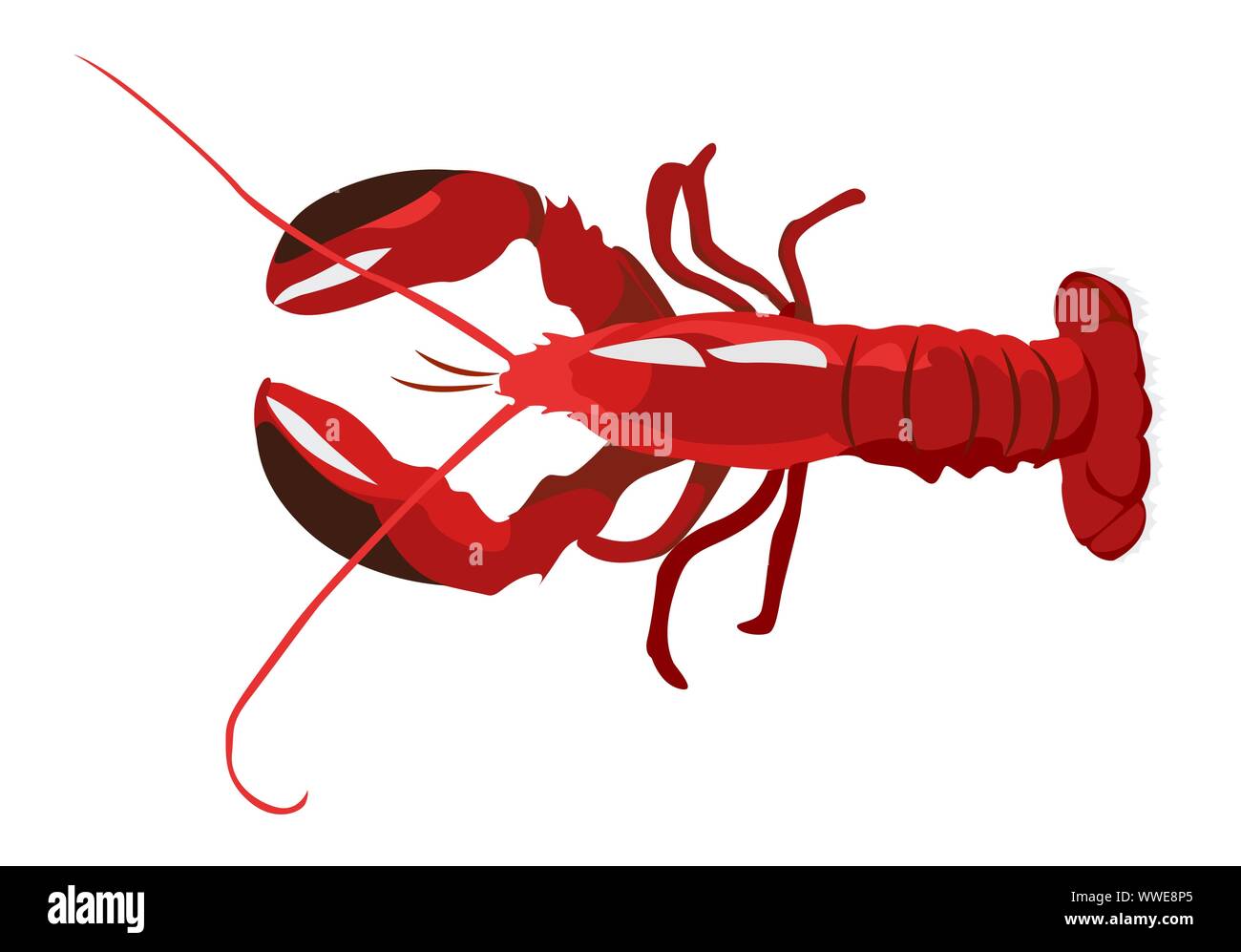 Cucinato red lobster icona isolati su sfondo bianco, freschi piatti di pesce sano, illustrazione vettoriale. Illustrazione Vettoriale