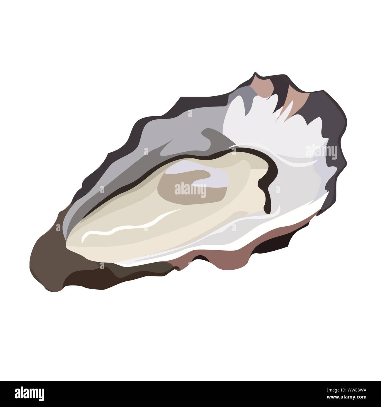 Oyster in icona shell isolata su sfondo bianco, piatti a base di frutti di mare freschi, cibo sano, illustrazione vettoriale. Illustrazione Vettoriale