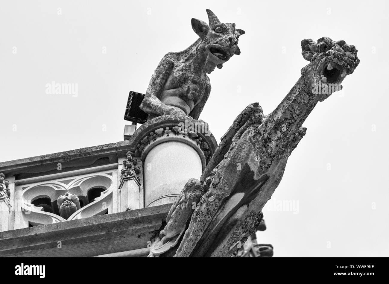 Due doccioni sembrano urlare nei tormenti alla sommità della torre d'ingresso della casa di Biltmore in Asheville, NC, Stati Uniti d'America Foto Stock