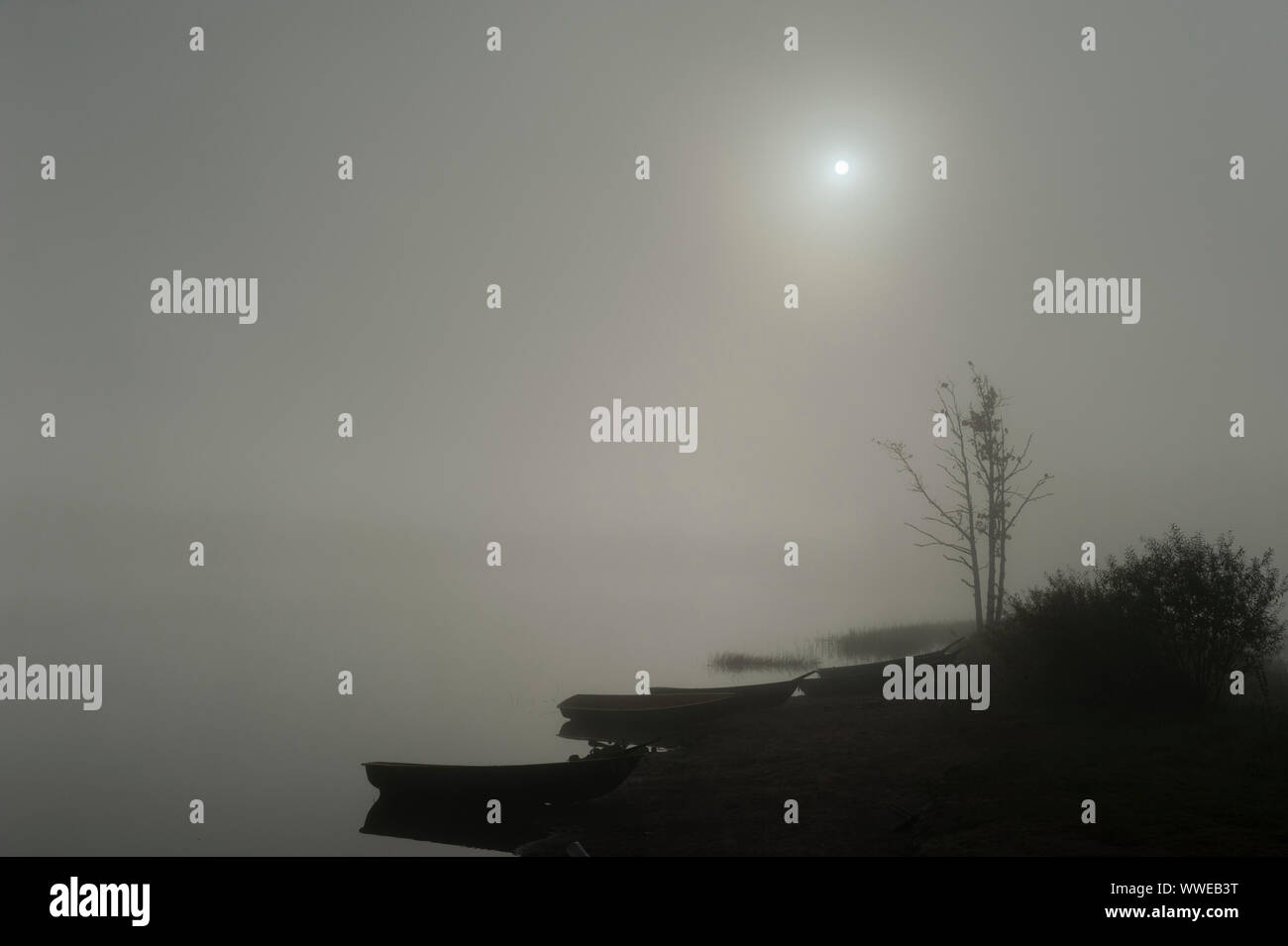 Barche sul Lago di nebbia. Foto Stock