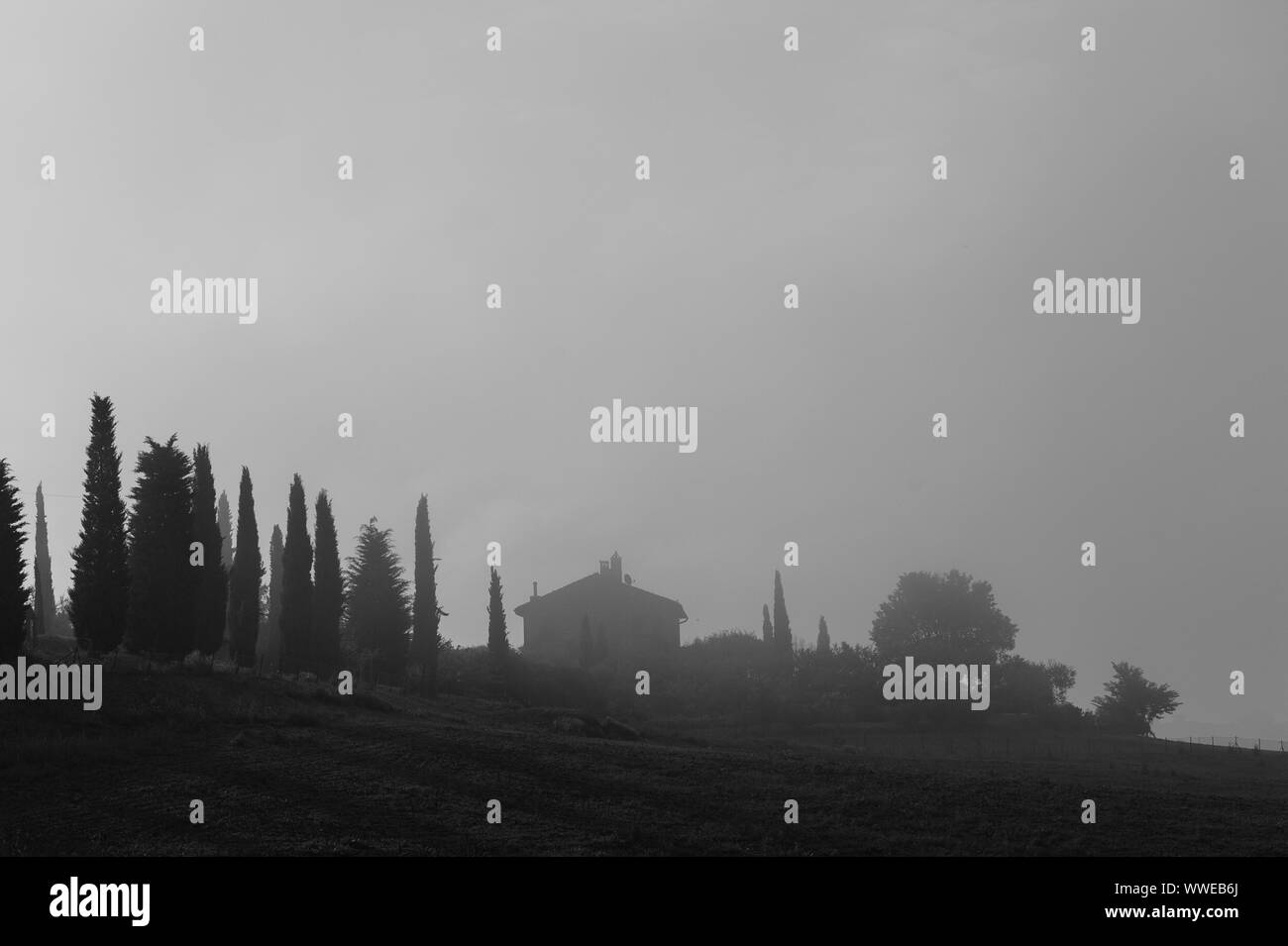Nebbia di mattina nella campagna Toscana, Italia Foto Stock