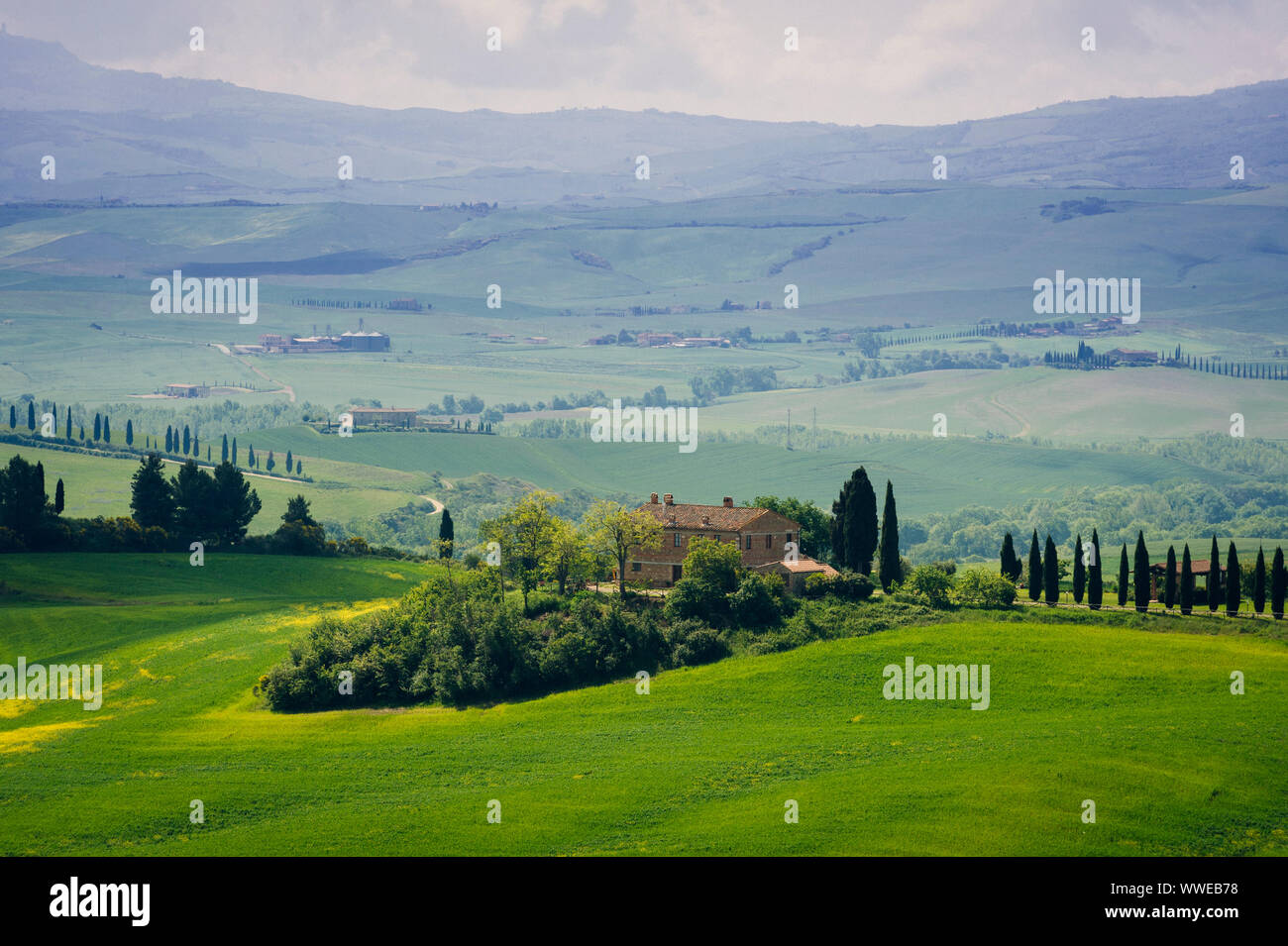 Tipico paesaggio toscano, Val Dorcia all'alba, Italia Foto Stock