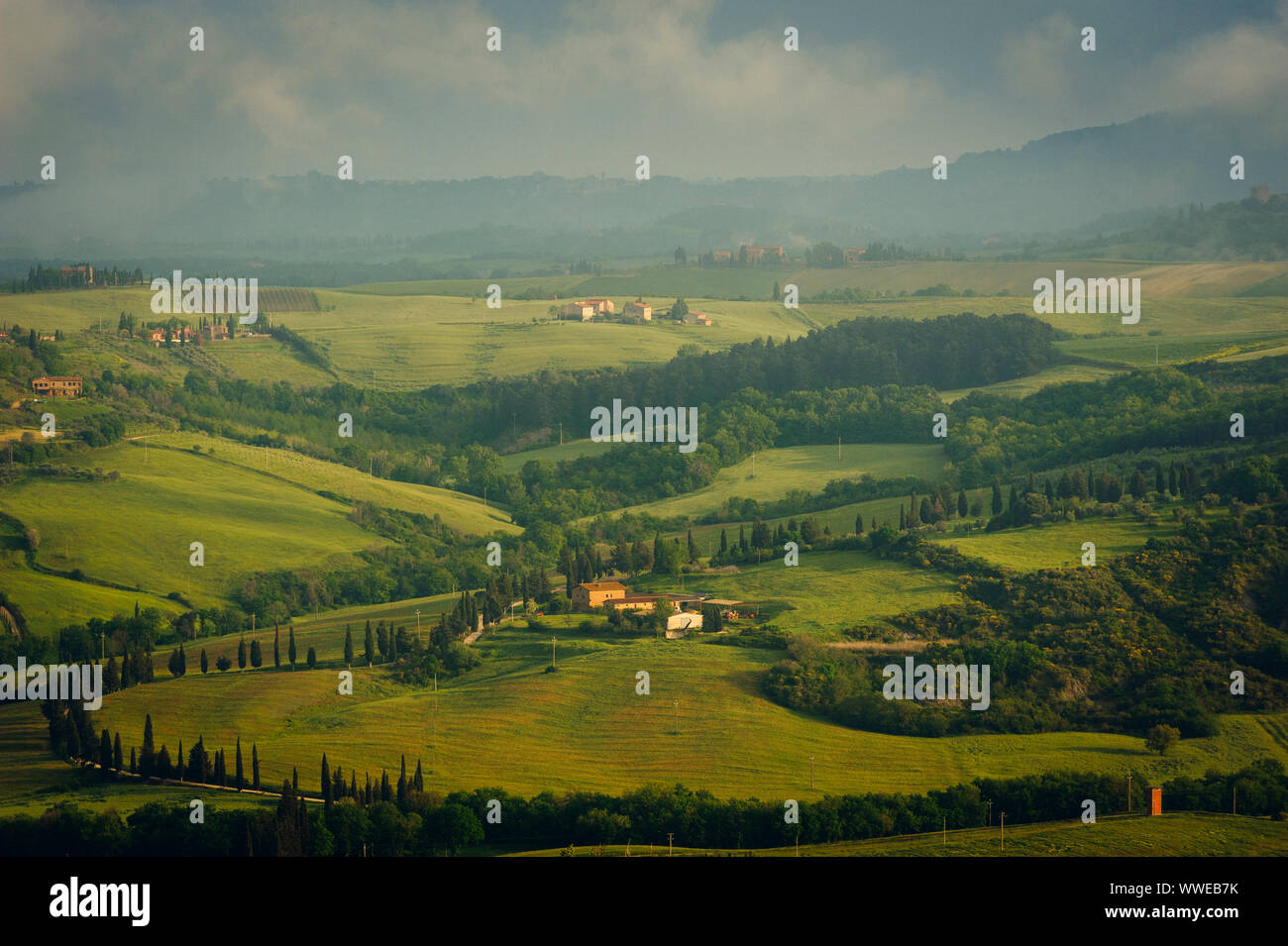 Tipico paesaggio toscano, Val Dorcia all'alba, Italia Foto Stock