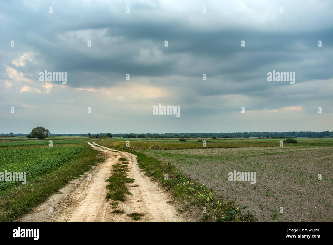 Strada sterrata attraverso i campi e piovoso nuvole nel cielo Foto Stock
