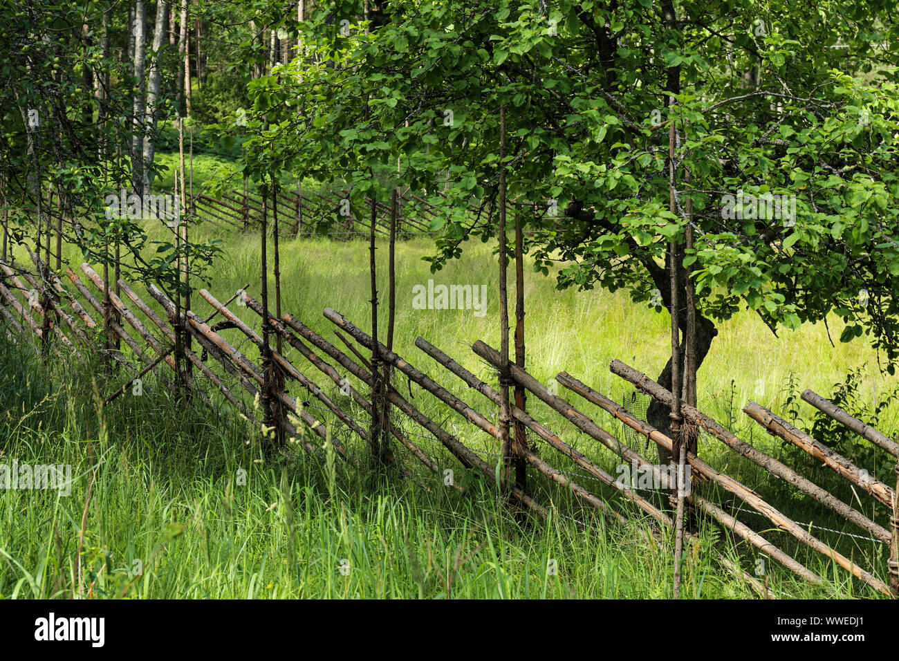 Tradizionale in legno recinzione roundpole sul prato in Pentala isola nella baia di Espoonlahti, Finlandia Foto Stock