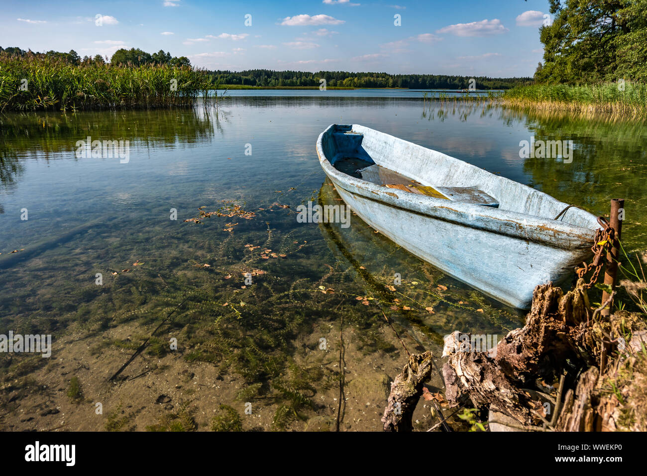 Vecchia barca di legno nel pettine boccole sulla riva del grande fiume o  lago Foto stock - Alamy