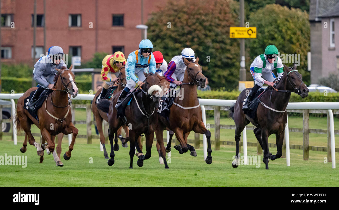 Jockey Paolo Mulrennan (grigio in alto) sulla fascia pratica, vincitore della FBE Fillies' Condizioni picchetti (più 10 Gara) a Musselburgh - 14 settembre 2019. Foto Stock