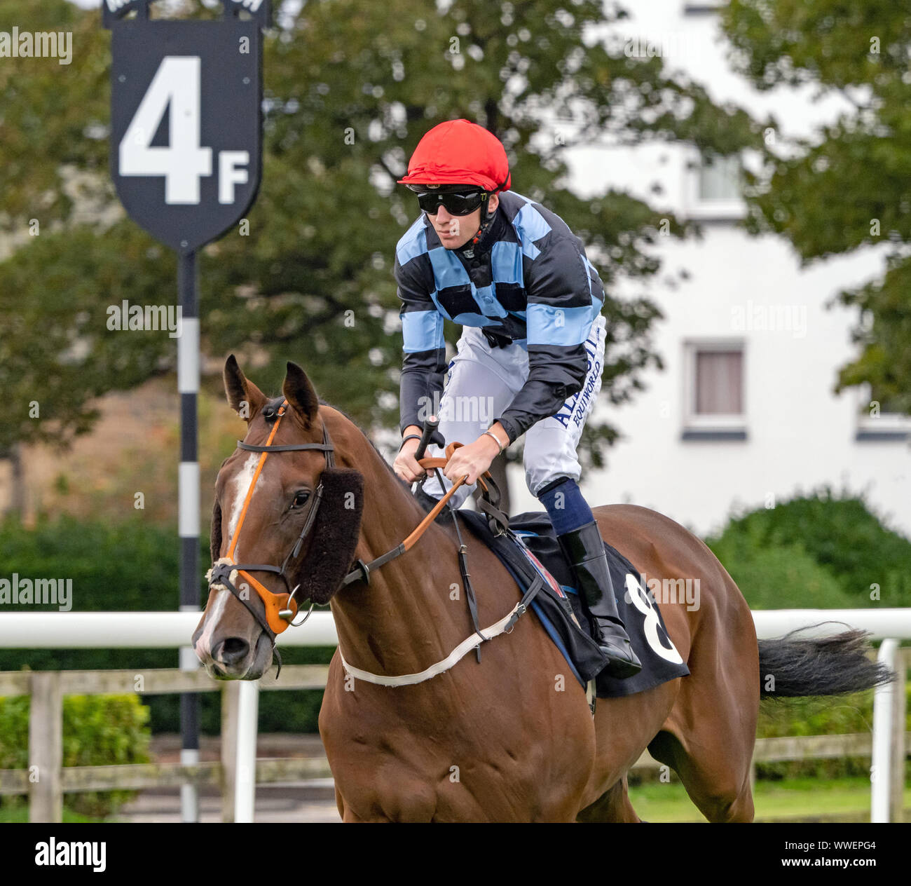 Camma Jockey Hardie di whiskey e acqua prima di iniziare la Champagne Pommery Edinburgh Cup Handicap a Musselburgh - 14 settembre 2019. Foto Stock