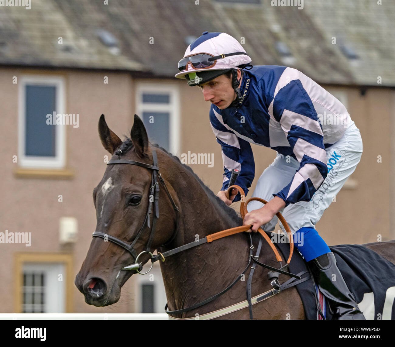 Jockey James Sullivan su Agravain prima dell' inizio della Champagne Pommery Edinburgh Cup Handicap a Musselburgh - 14 settembre 2019. Foto Stock