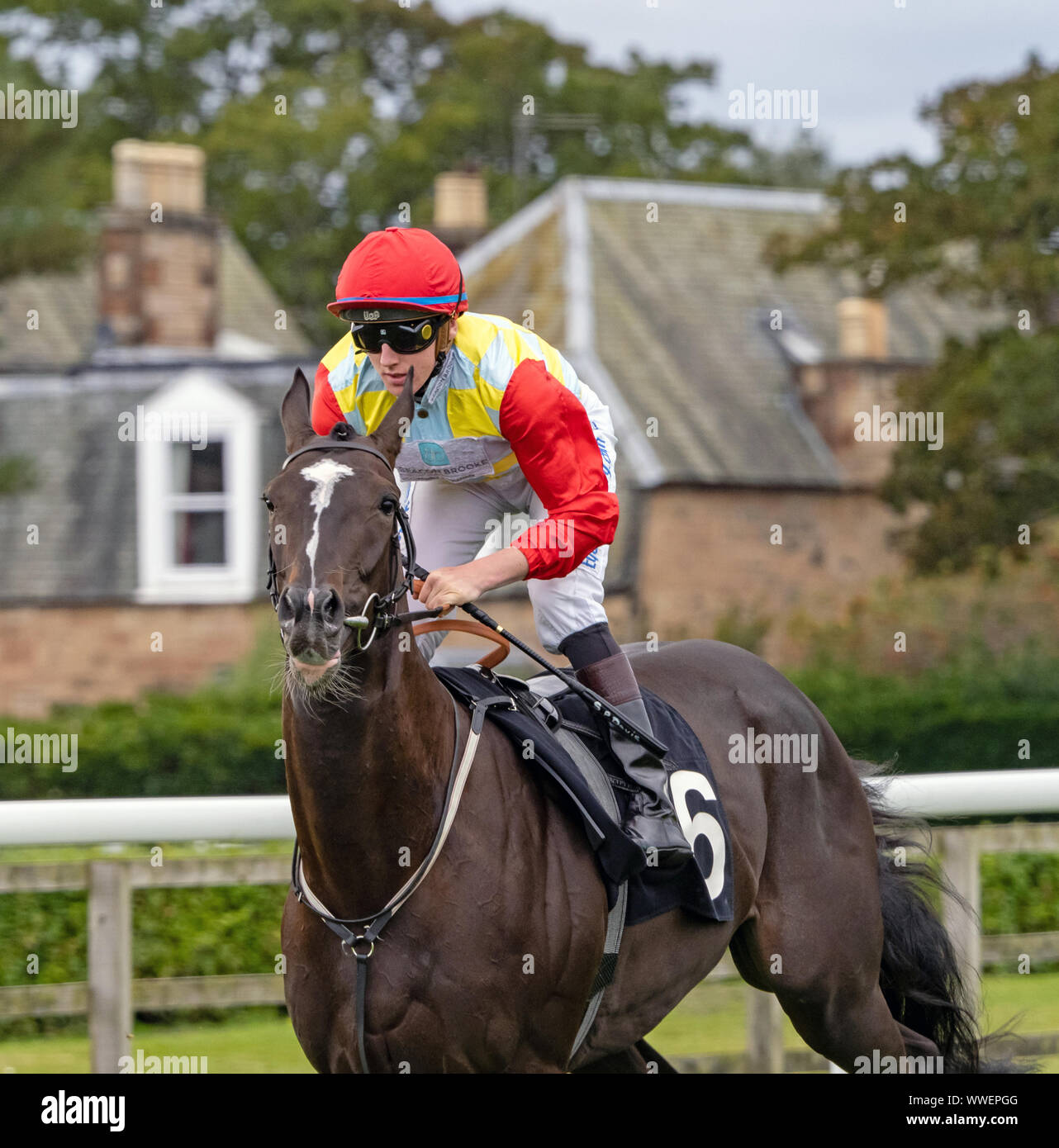 Jockey Sean Davis su Euro implosione prima dell' inizio della Champagne Pommery Edinburgh Cup Handicap a Musselburgh - 14 settembre 2019. Foto Stock