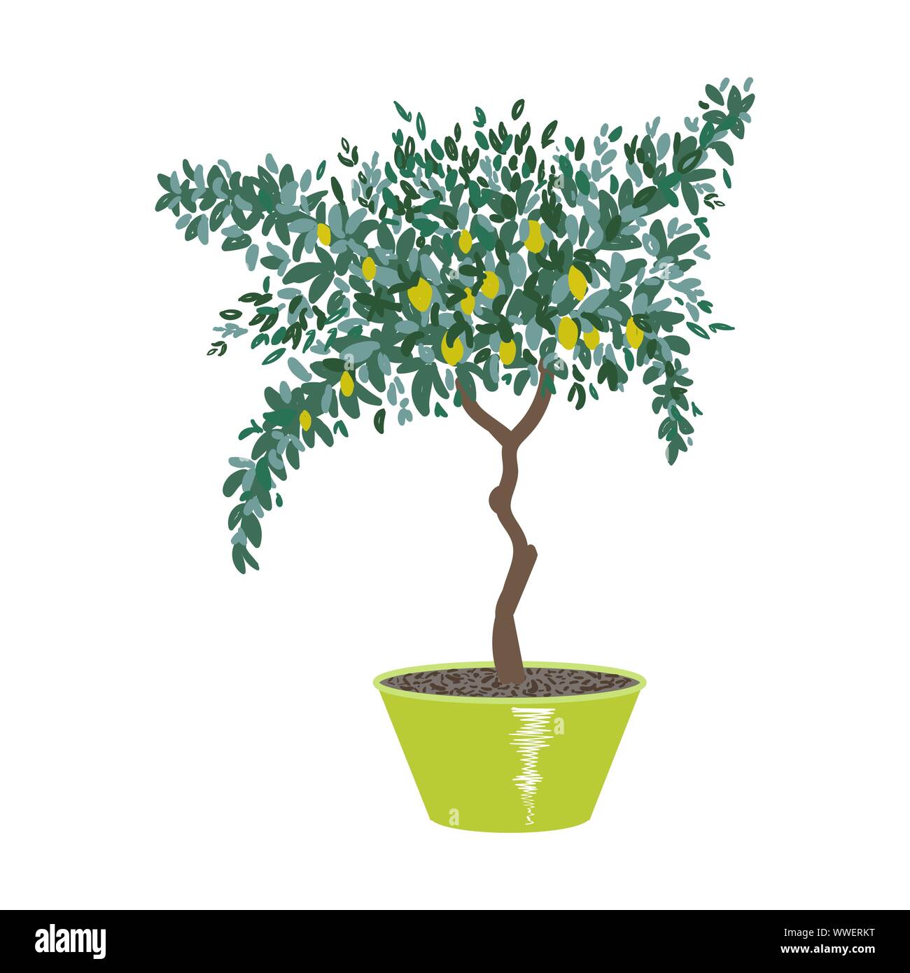 Lemon Tree nel recipiente isolato su un bianco. Disegnata a mano illustrazione vettoriale. Illustrazione Vettoriale