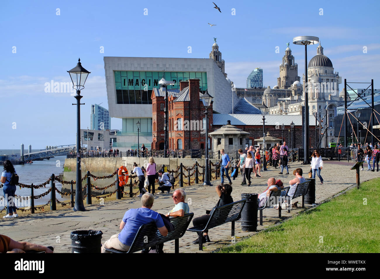 Museo di Liverpool e il Liver Building, REGNO UNITO Foto Stock