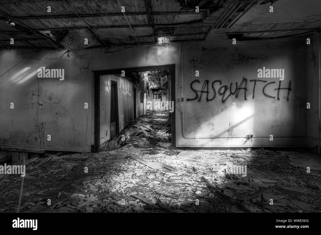 Grafitti sulla parete di caserme abbandonate sul Mare isola, smantellata cantiere navale in California. Foto Stock