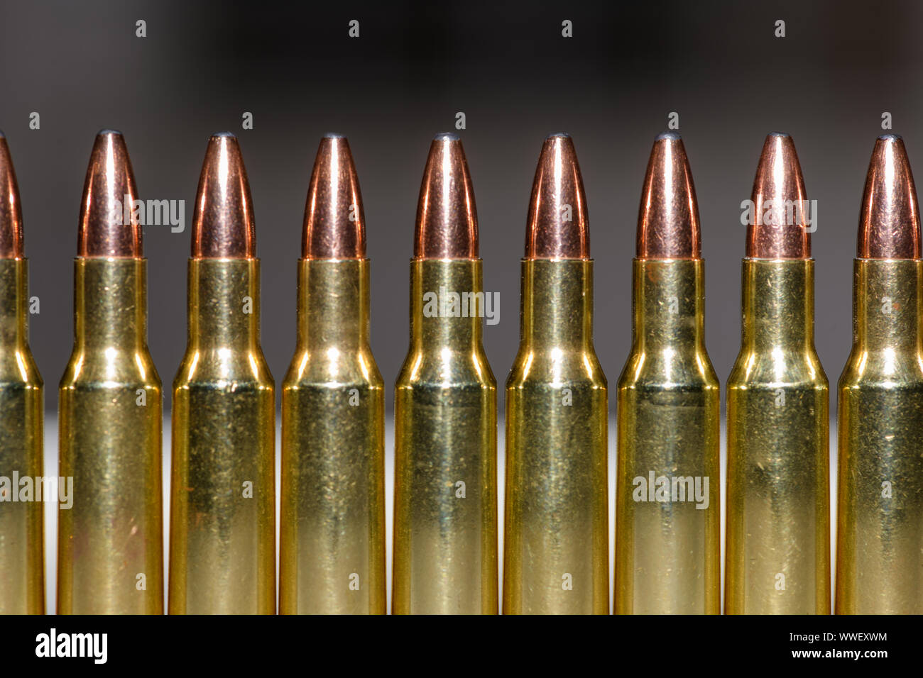 Munizioni per fucile allineati simmetricamente - 222 Caliber Foto Stock