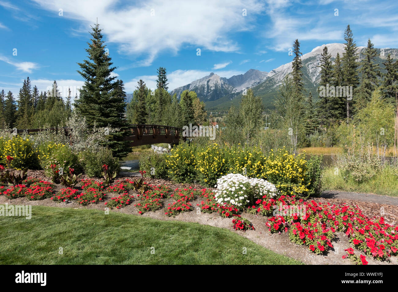 Giardino paesaggistico, letto di fiori, Green Urban Park, skyline delle Montagne Rocciose. Spring Creek Alpine Village, città di Canmore, Alberta, ai piedi delle colline canadesi Foto Stock