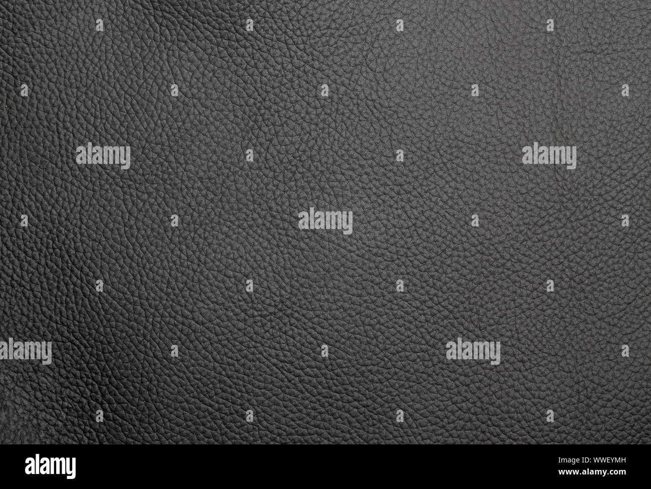Grigio chiaro in pelle texture fullframe closeup macro Foto Stock
