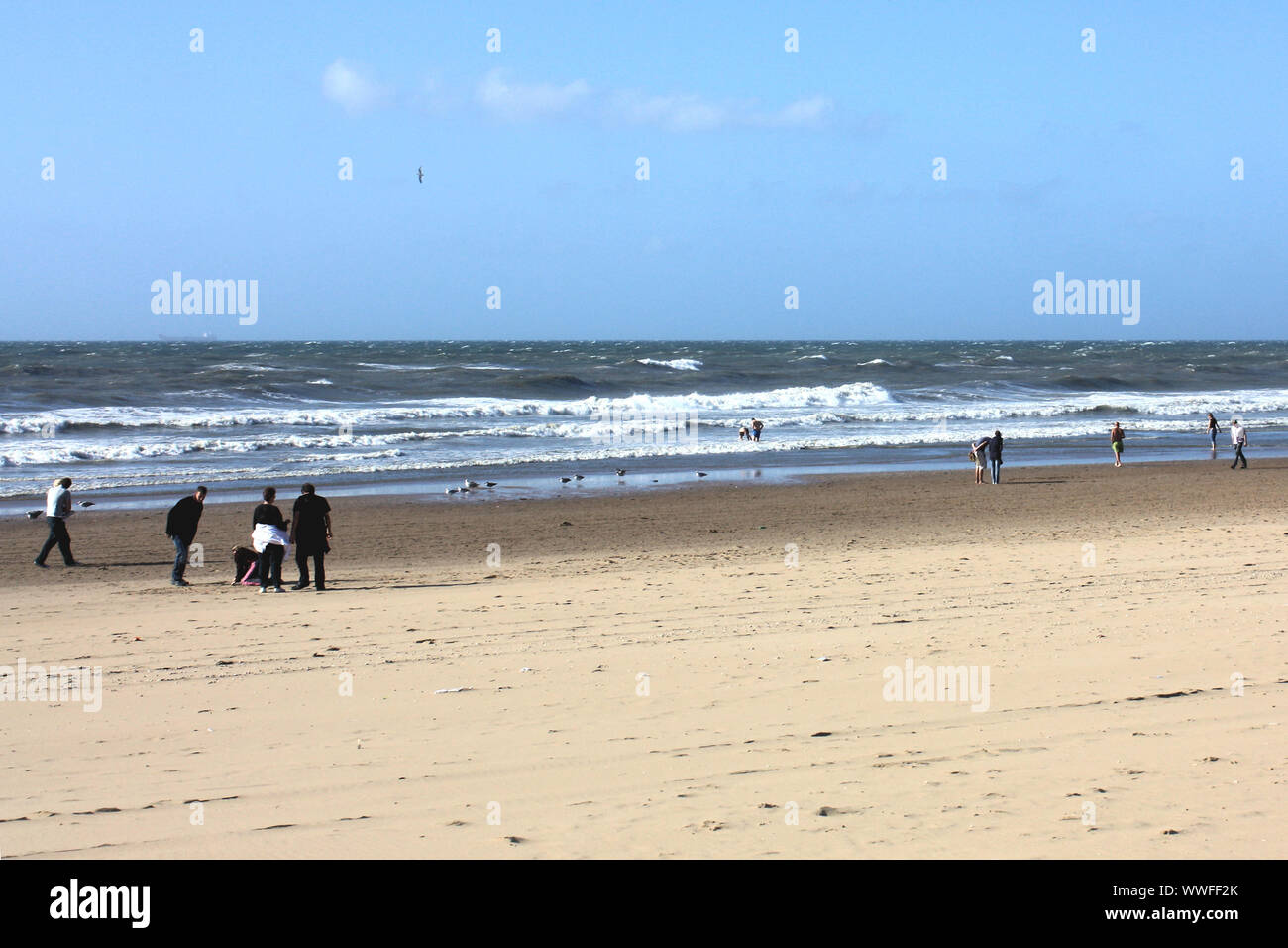 Alla spiaggia di Scheveningen in Olanda, la più famosa stesa di sabbia in Olanda. Si tratta di un luogo ideale per passeggiate a piedi, prendere il sole e nuotare, così come il surf. Foto Stock