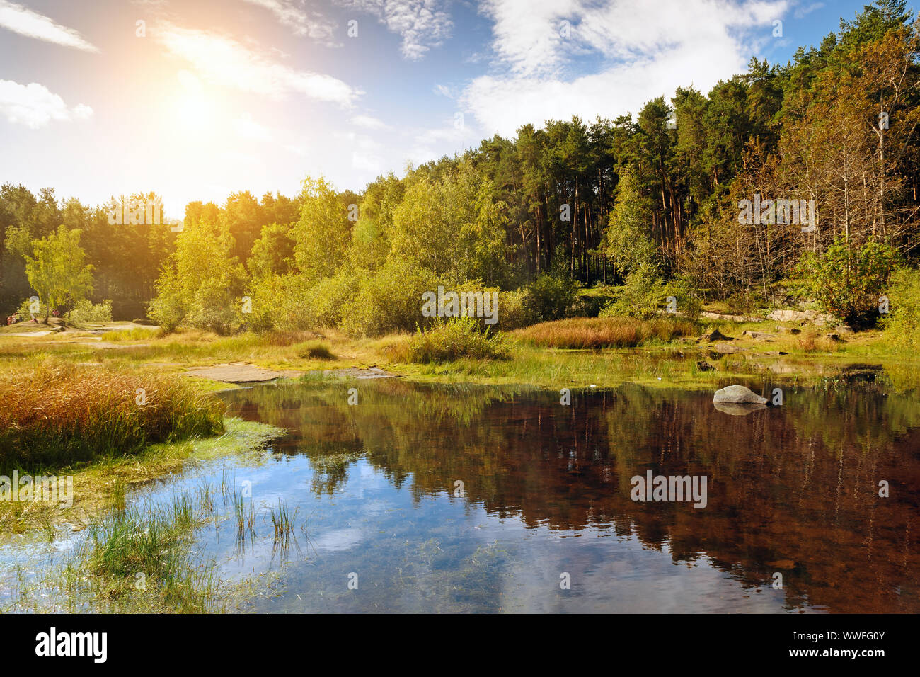 Bellissimo stagno intorno ad albero e nuvola al tramonto Foto Stock