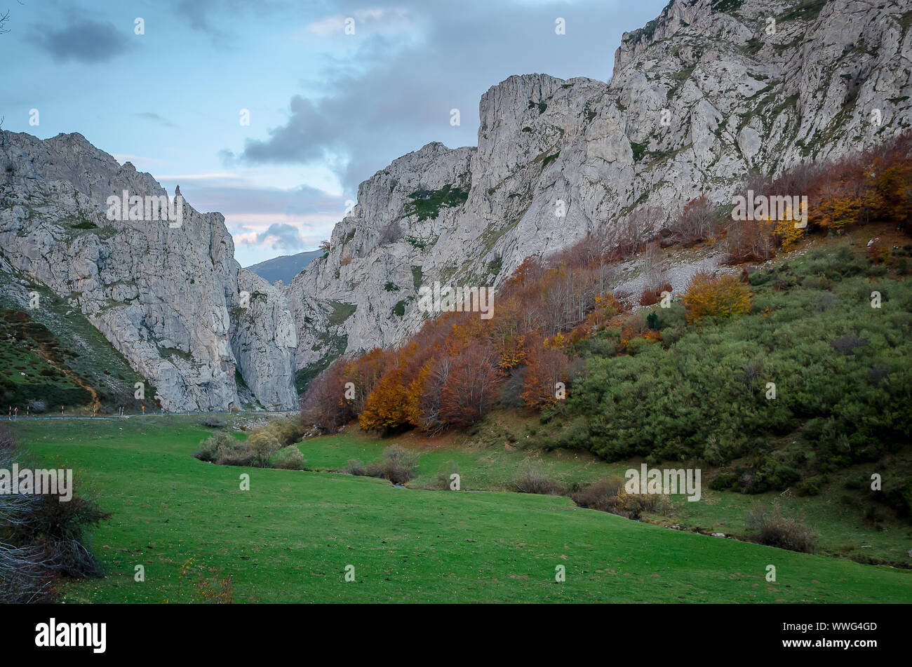 Spagna. Paesaggio di montagna del parco naturale di Fuentes Carrionas Foto Stock