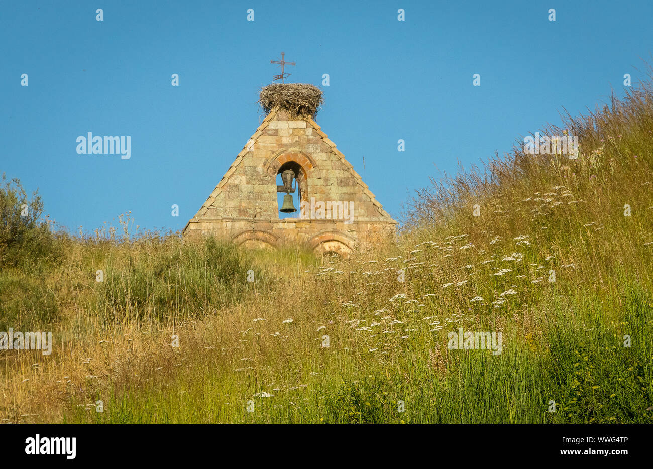 Spagna. Chiesa giunco nella montagna di Palencia. Palencia Foto Stock