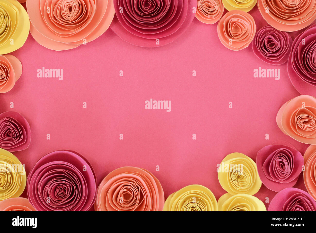 Rosa pastello, magenta e giallo rose di carta piana sfondo laici con i fiori intorno al endges e svuotare lo spazio di copia in medio Foto Stock