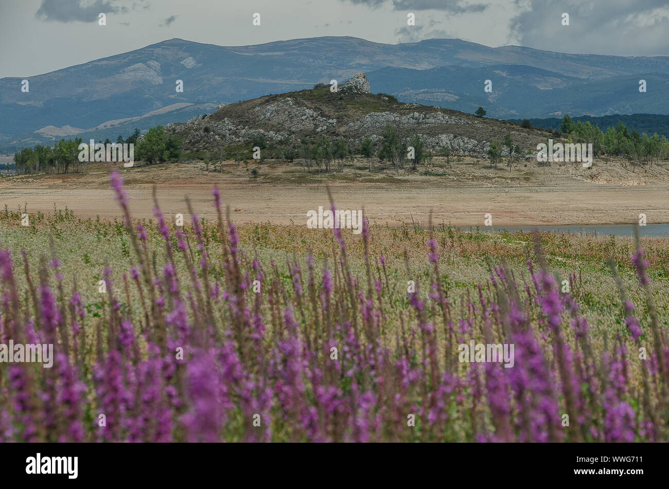 Spagna. Palude di Aguilar de Campoo in tempo di siccità Foto Stock