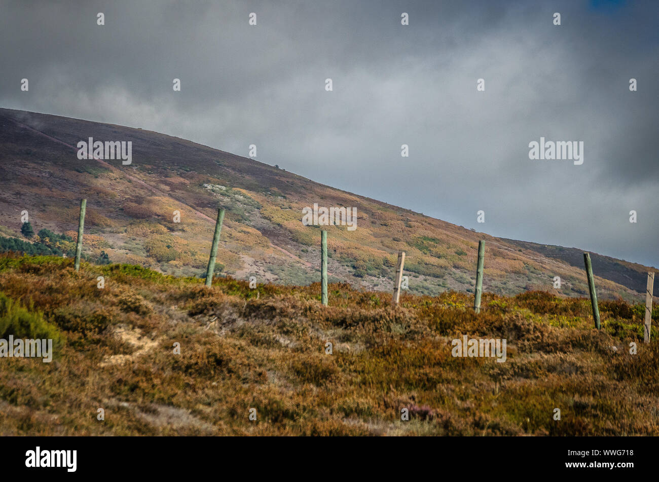 Spagna. Sentieri di montagna di Palencia. Foto Stock