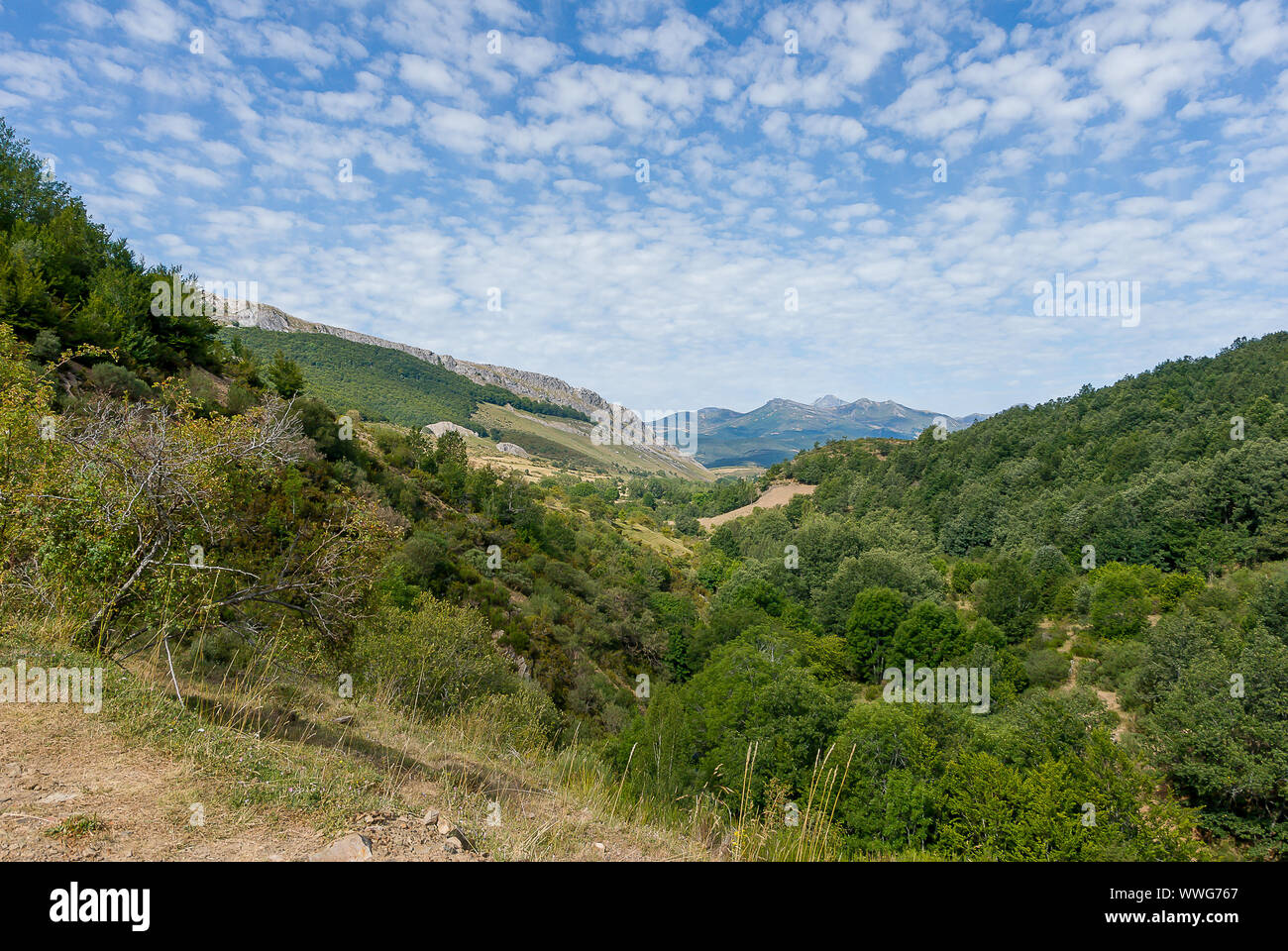 Bella vista della montagna di Palencia. A Fuentes de Carrionas parco naturale. Foto Stock