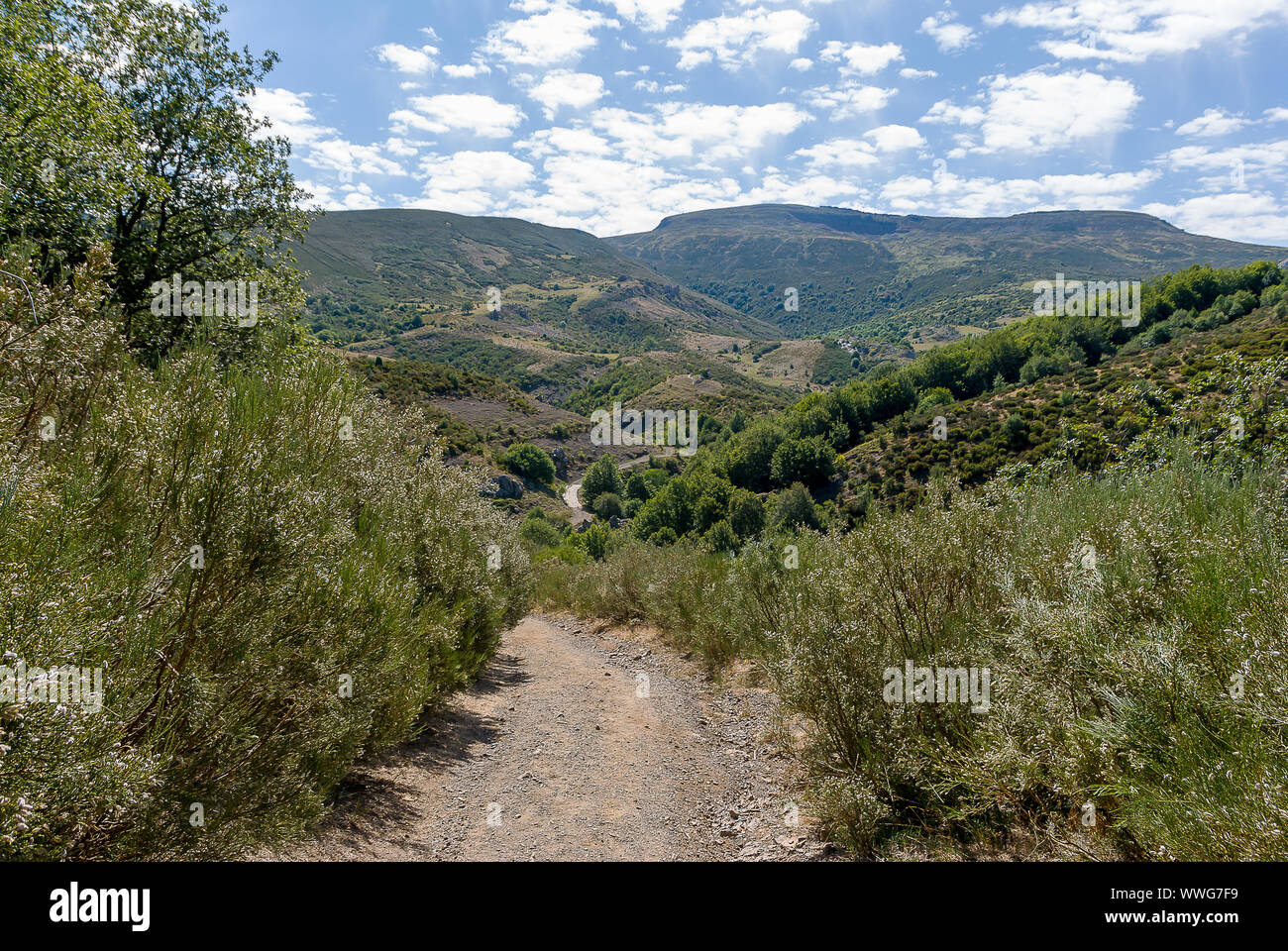 Bella vista della montagna di Palencia. A Fuentes de Carrionas parco naturale. Foto Stock