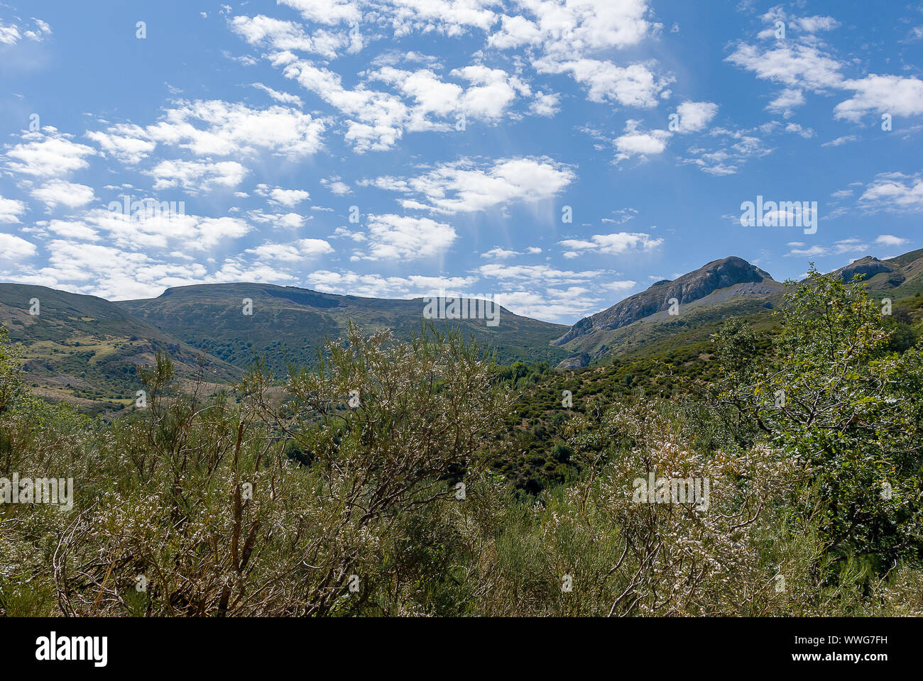 Bella vista della montagna di Palencia. A Fuentes de Carrionas parco naturale. Foto Stock