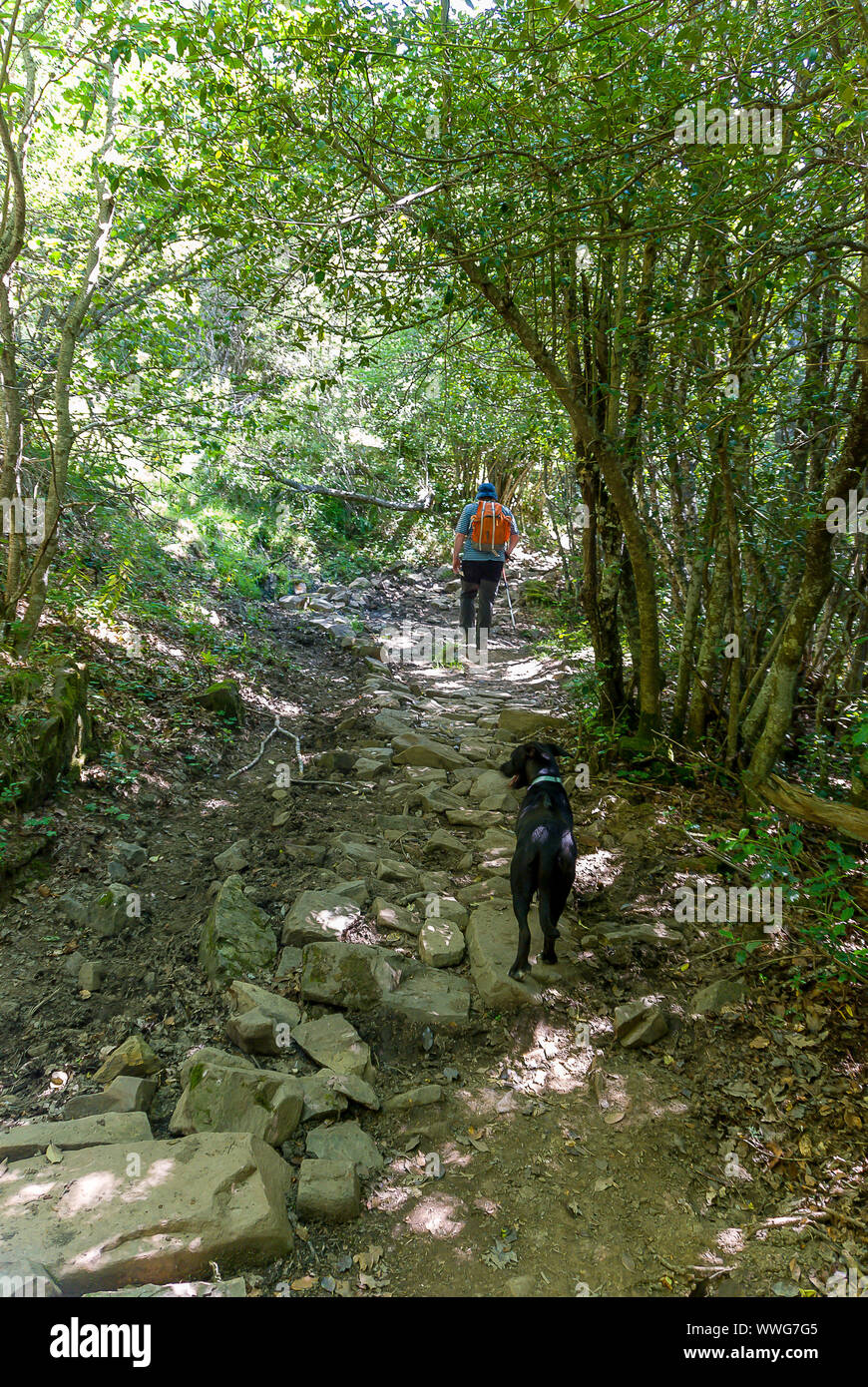 Spagna. L'uomo con il suo cane sulla sorgente di indirizzare il rame. A Fuentes de Carrionas parco naturale. Foto Stock