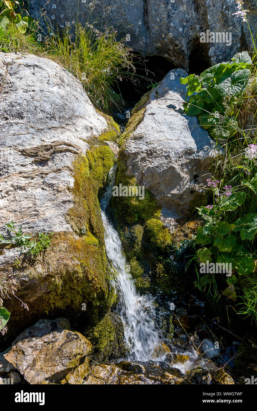 Spagna. Cueva del rame, nascita del fiume Pisuerga nel Parco Nazionale di Fuentes Carrionas. Palencia Foto Stock