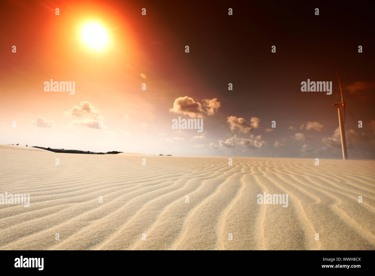 sole del deserto Foto Stock