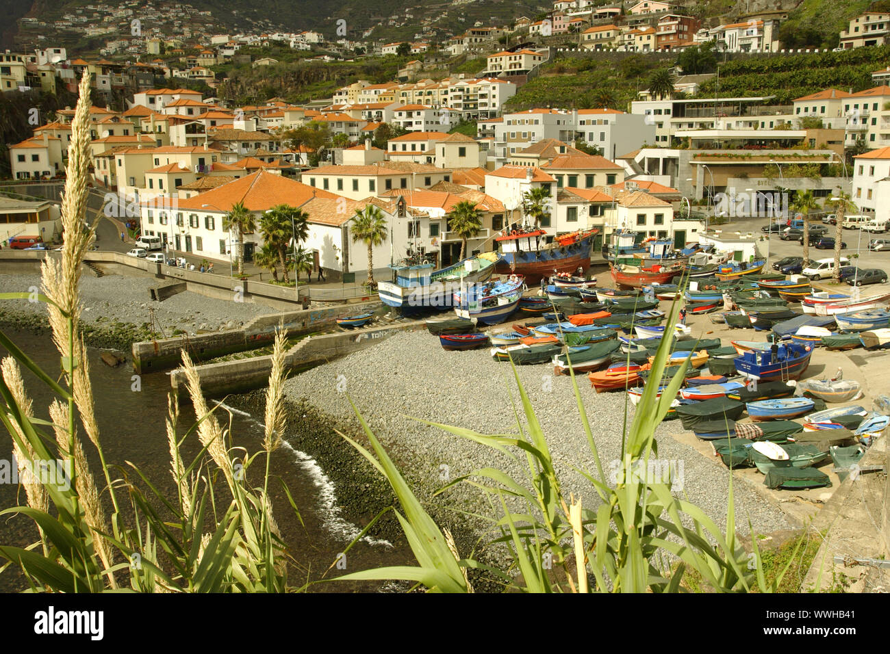 Il Portogallo, Madera, le barche dei pescatori del porto di Camara de Lobos Foto Stock