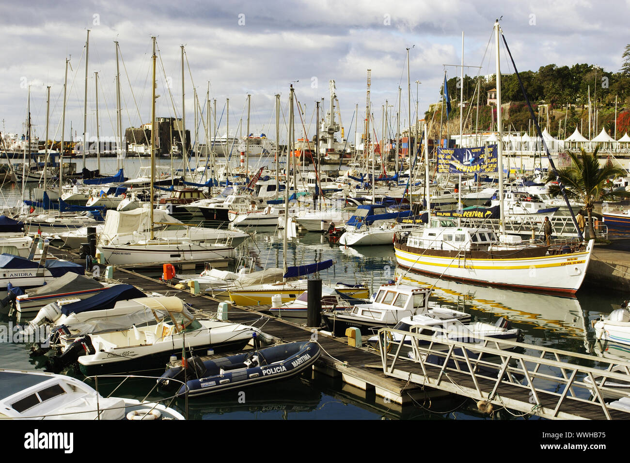 Il Portogallo, Madera, Marina di Funchal Foto Stock