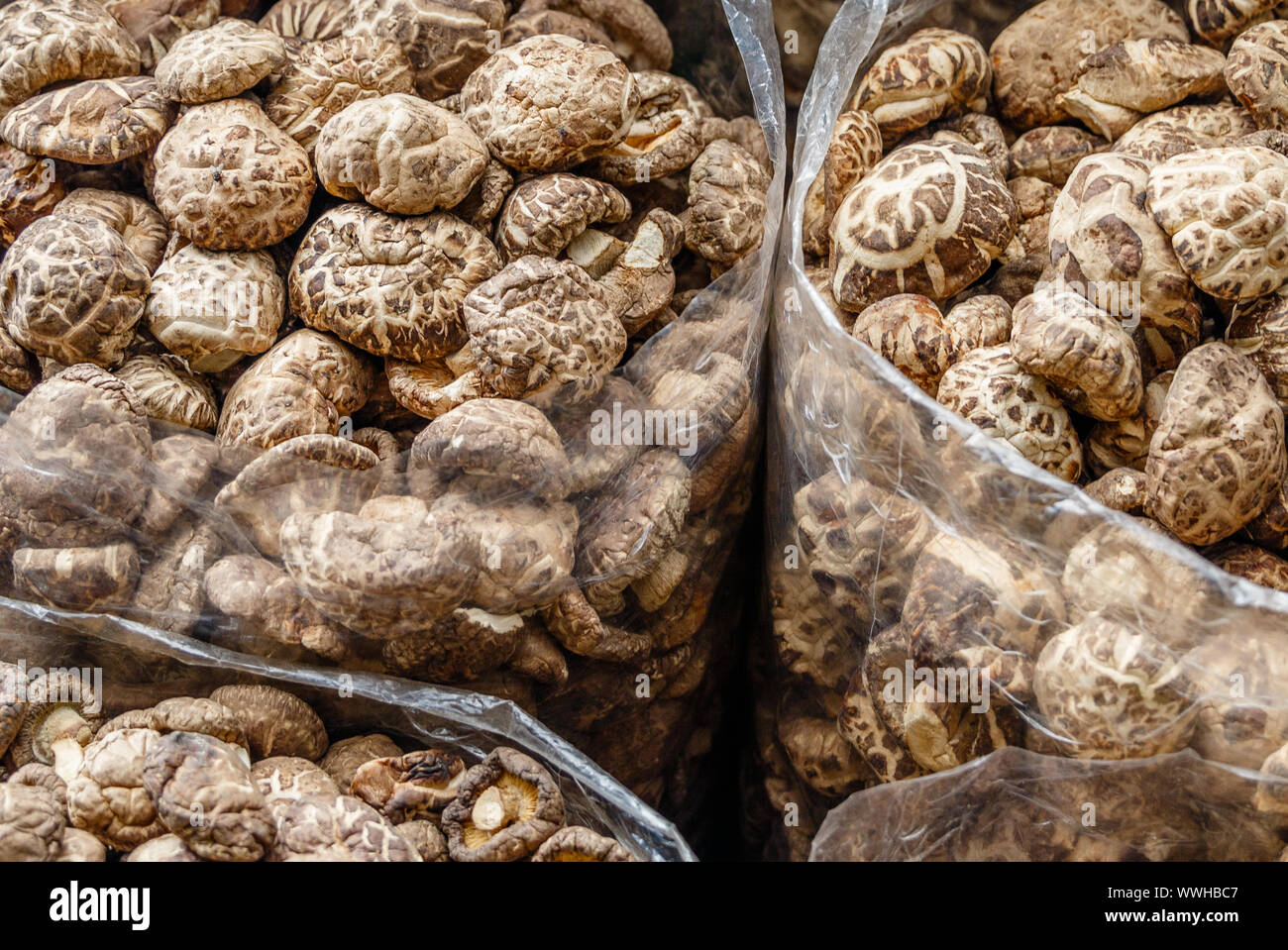 Close up pf essiccato funghi shiitake in sacchetti in corrispondenza di una strada del mercato di Bangkok Chinatown. Thailandia. Foto Stock
