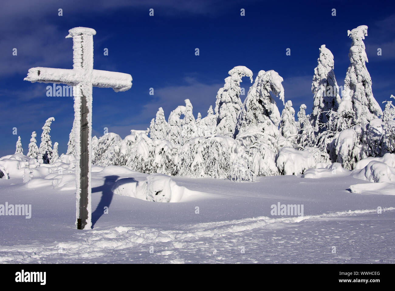 Gli alberi coperti di neve, Foresta Nera settentrionale, Schwarzwaldhochstrasse, Schliffkopf, inverno, Buehlertal, Baden-Wuerttemberg, Germania Foto Stock