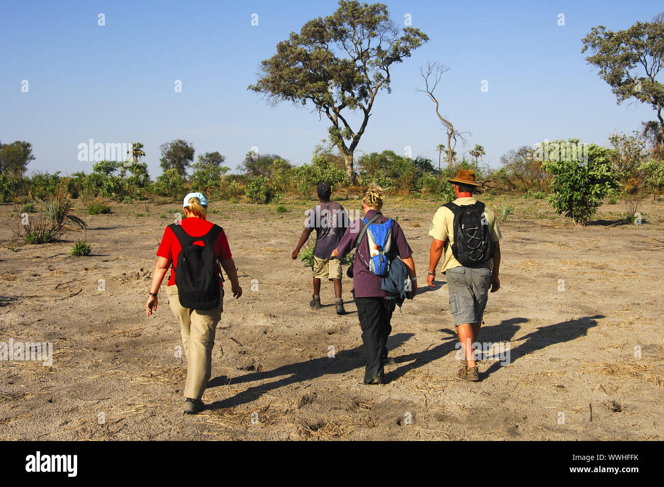 Deerstalking nella savana africana Foto Stock