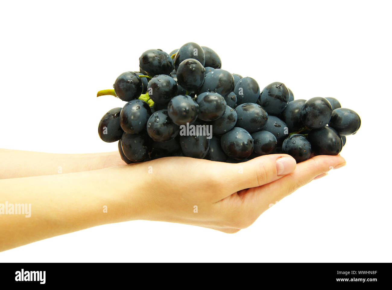 Grappolo di uva in mano femmina Foto Stock