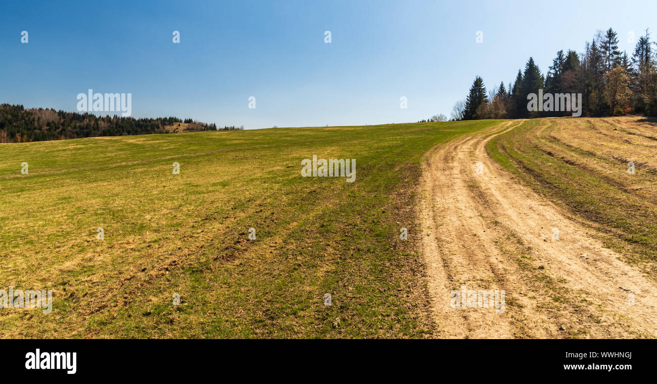 Primavera prato con strada sporca, foresta intorno e chiaro cielo sopra vicino Vrchrieka hill in Javorniky montagne in Slovacchia Foto Stock