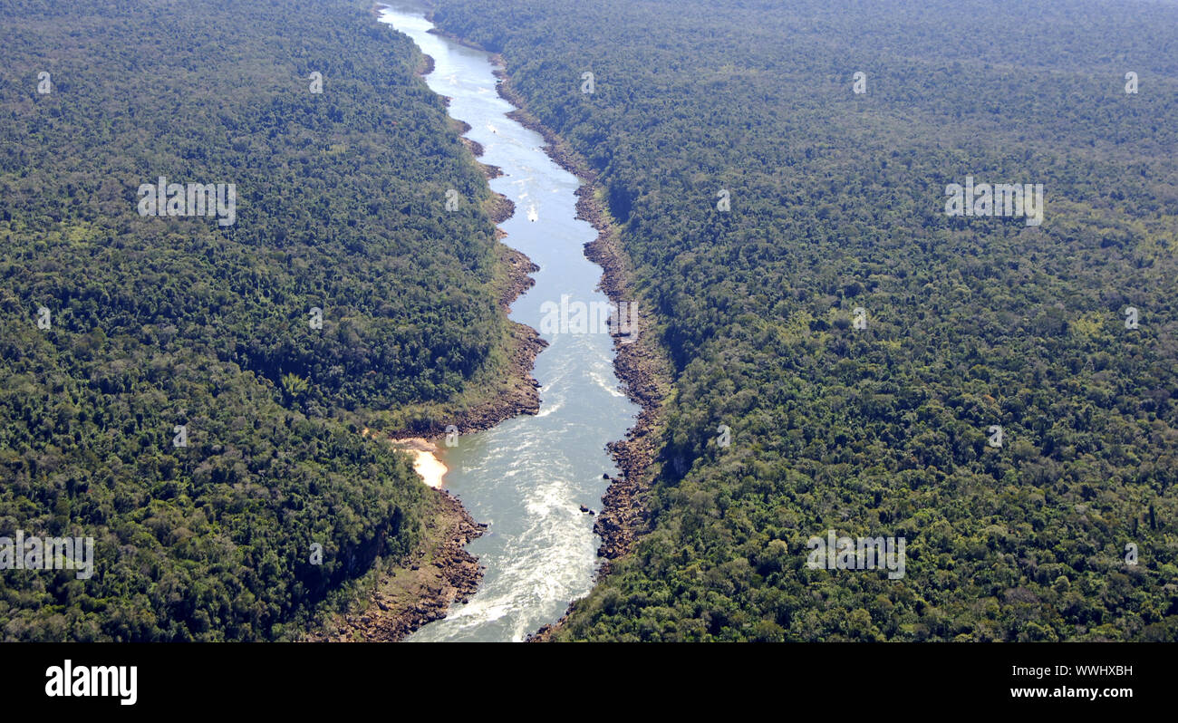 Area di foresta pluviale in stato di Paraná Foto Stock