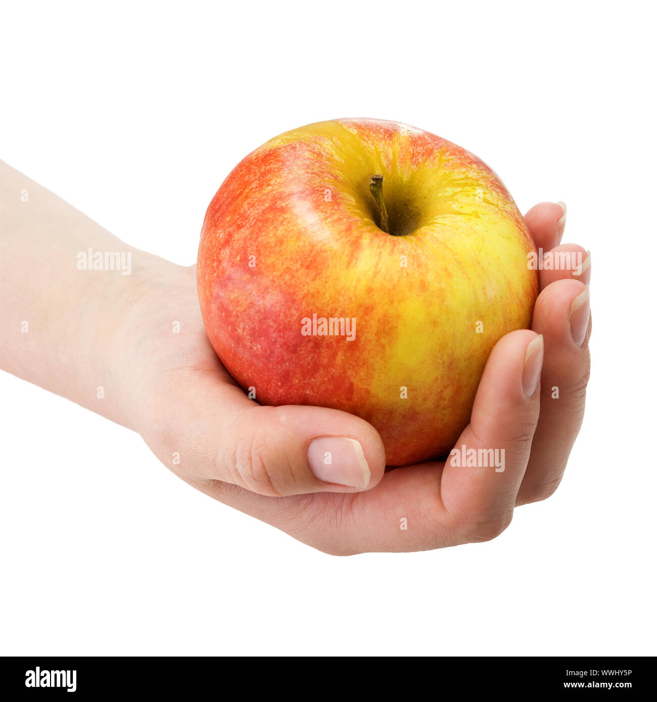 Mano azienda rosso con giallo lateralmente una mela su sfondo bianco Foto Stock