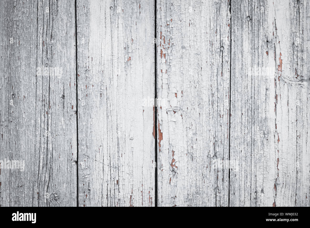 Trama di platano bianco con vernice pelante, sfondo rustico in legno vintage per il design di fattorie e decorazioni per interni Foto Stock